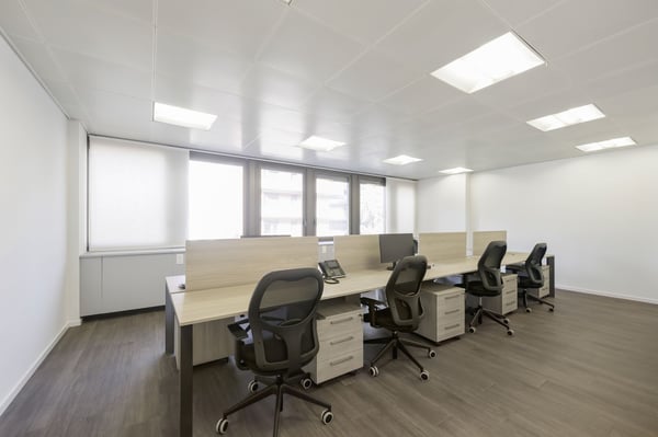 GROSSES BÜRO IM PARADIES 2