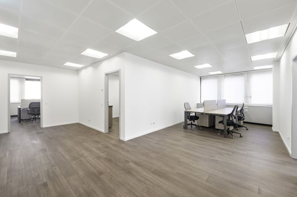 GROSSES BÜRO IM PARADIES 1