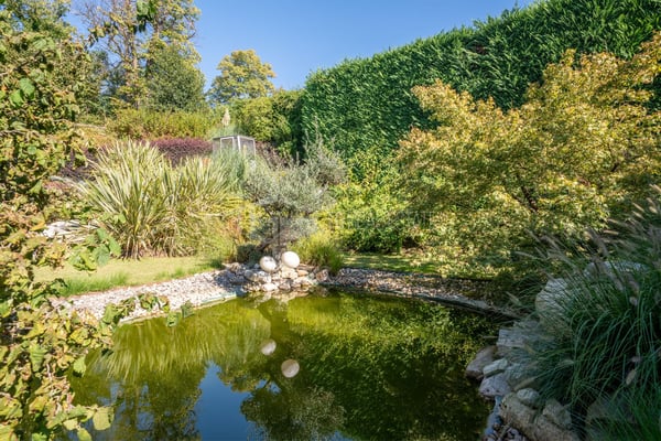 LUSSUOSA VILLA CON PISCINA E GIARDINO VICINO ALLA TASIS 32