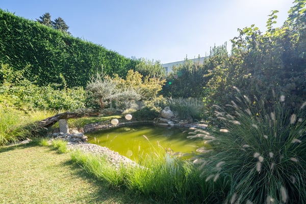 LUSSUOSA VILLA CON PISCINA E GIARDINO VICINO ALLA TASIS 30
