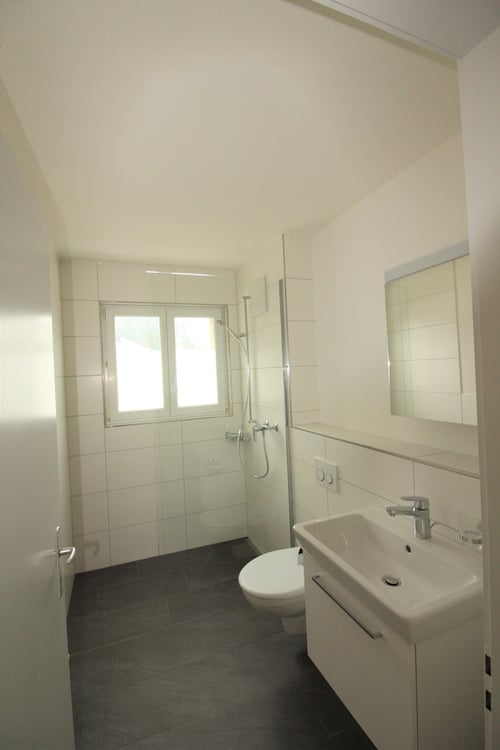 frisch sanierte 1.5-Zimmerwohnungen mit wunderschöner Aussicht 6