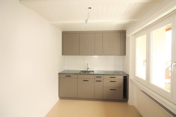 frisch sanierte 1.5-Zimmerwohnungen mit wunderschöner Aussicht 3