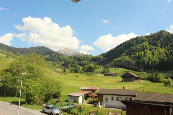 frisch sanierte 1.5-Zimmerwohnungen mit wunderschöner Aussicht 1