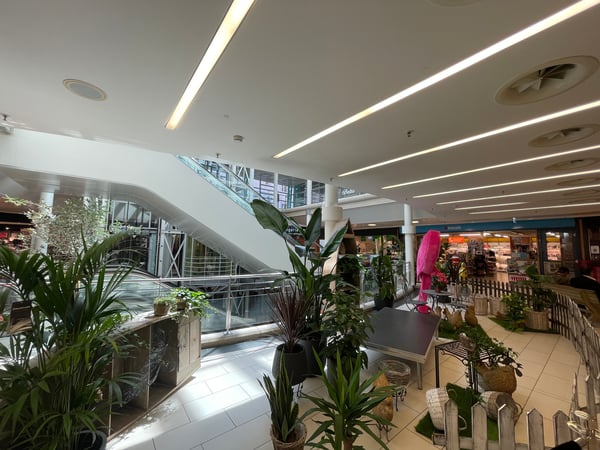 Kundenstarke Ladenfläche beim Migros Supermarkt 6