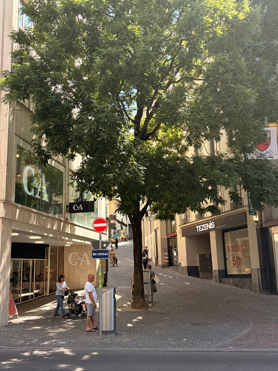 Restaurant/Café Rue Saint-François 2, Lausanne 10
