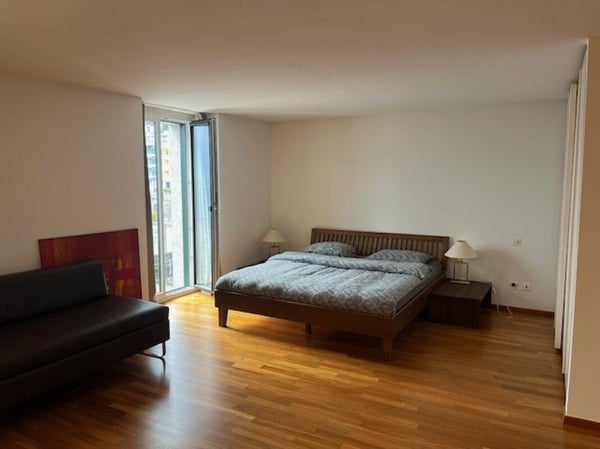 Wohnung am See in Ascona 2