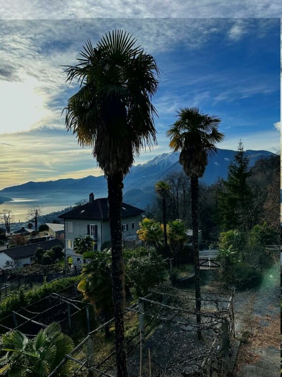 Porta al Paradiso - Locarno Monti - 3.5-Zimmer-Erdgeschoss-Wohnung (W3) 12