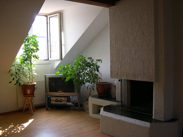 Gemütliche 2.5 Zimmer-Altbau-Dachwohnung 3