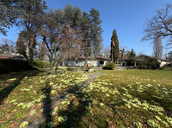 Villa individuelle avec potentiel d'agrandissement à Conches 2