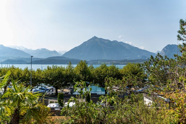 Charmante 3.5-Zimmer-Terrassenwohnung mit traumhaftem Seepanorama in Oberhofen am Thunersee 1