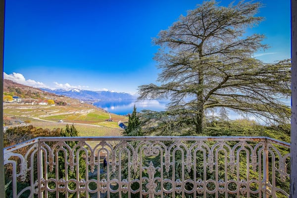 Maison de maître du 19ème siècle bordant les vignes de Lavaux 6