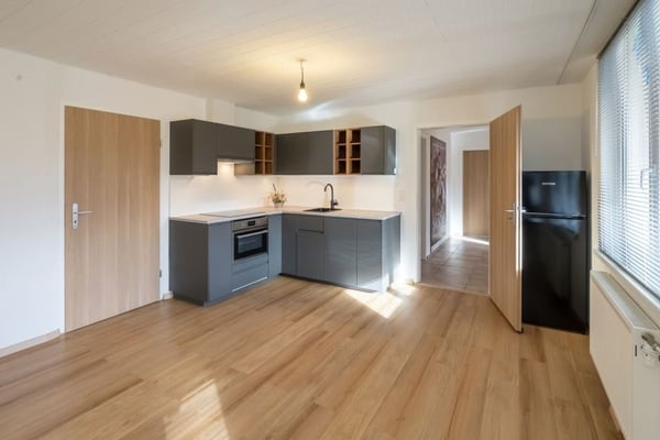Attraktives 2.5-Zimmer Studio mit herrlichem Blick in Ebikon zur Miete 4