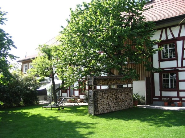 6-Zimmer-Reihenhaus mit Garten in Eschlikon - kaufen 2