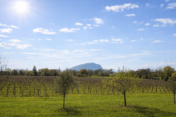 Villa de standing avec un vaste terrain à Presinge (GE) - Un cadre rare et paisible proche de Genève 6