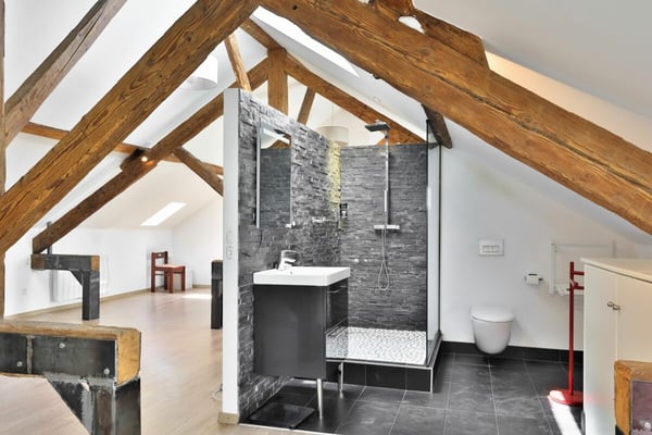 Duplex de charme entre nature et sérénité - Hameau de Monniaz avec grand jardin privatif 9