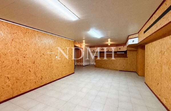 Ensemble de lots commerciaux en PPE 13