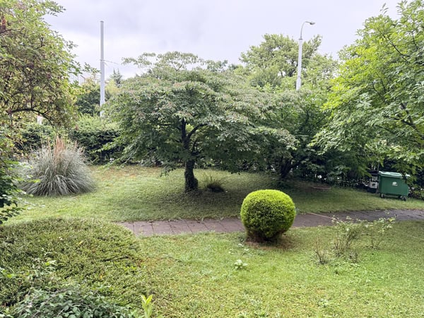 Appartement rénové de 4 chambres à Petit-Saconnex ? Proche des organisations internationales 12