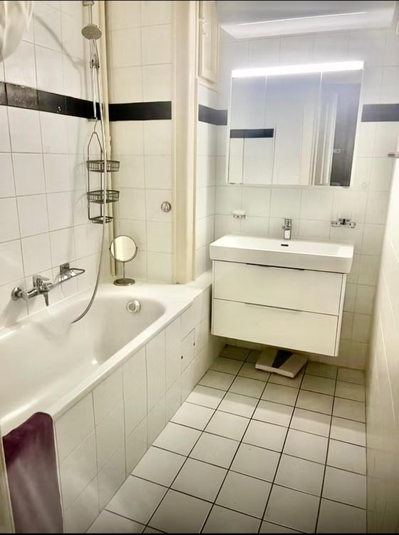 Charmant appartement rénové d'une chambre à Paquis Navigation 5