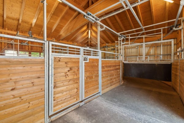 REITSPORTIMMOBILIE MIT 4 WOHNEINHEITEN, SANDPLATZ UND OVAL-FÜHRANLAGE 7