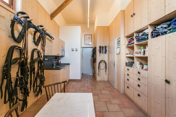 REITSPORTIMMOBILIE MIT 4 WOHNEINHEITEN, SANDPLATZ UND OVAL-FÜHRANLAGE 4