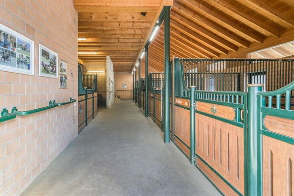 REITSPORTIMMOBILIE MIT 4 WOHNEINHEITEN, SANDPLATZ UND OVAL-FÜHRANLAGE 3