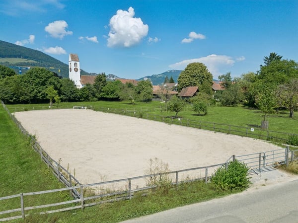 REITSPORTIMMOBILIE MIT 4 WOHNEINHEITEN, SANDPLATZ UND OVAL-FÜHRANLAGE 2