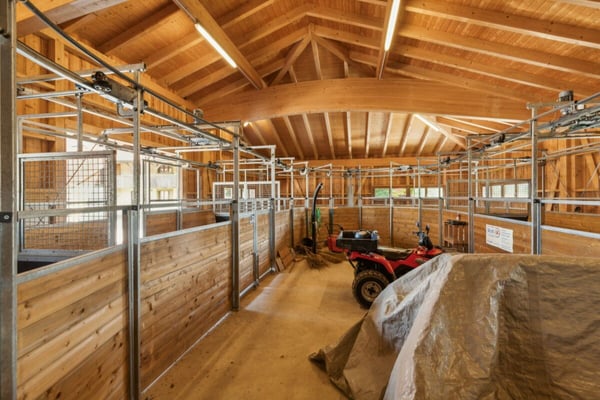 REITSPORTIMMOBILIE MIT 4 WOHNEINHEITEN, SANDPLATZ UND OVAL-FÜHRANLAGE 6