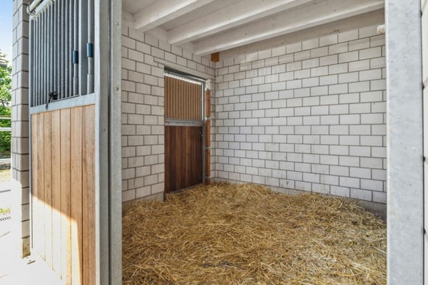 REITSPORT, WOHN- UND GEWERBEIMMOBILIE MIT VIELFÄLTIGEN NUTZUNGSMÖGLICHKEITEN 3