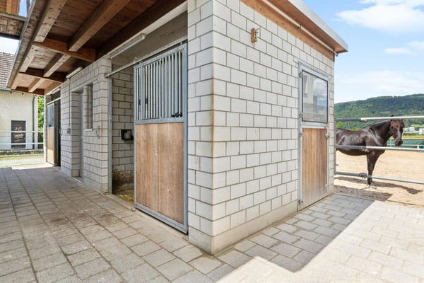 GEWERBEIMMOBILIE MIT VIELFÄLTIGEN NUTZUNGSMÖGLICHKEITEN UND WOHNHAUS 9