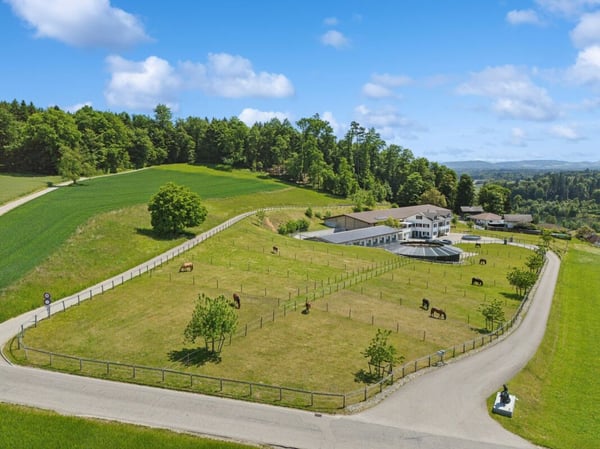 HOCHWERTIGE REITSPORTIMMOBILIE AN EINZIGARTIGER LAGE MIT TRAUMHAFTER WEITSICHT 11