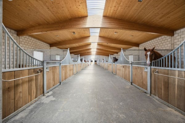 HOCHWERTIGE REITSPORTIMMOBILIE AN EINZIGARTIGER LAGE MIT TRAUMHAFTER WEITSICHT 4