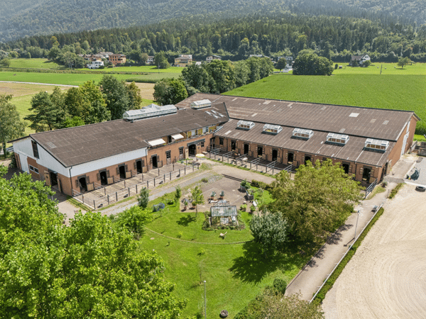 EXKLUSIVE REITSPORTANLAGE MIT VOLLSTÄNDIGER INFRASTUKTUR IN MAUREN FL 8