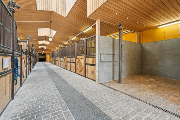 EXKLUSIVE REITSPORTANLAGE MIT VOLLSTÄNDIGER INFRASTUKTUR IN MAUREN FL 2