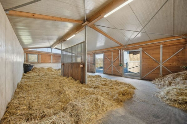 REITSPORTIMMOBILIE MIT ZWEI WOHNEINHEITEN UND DER MÖGLICHKEIT ZUR INDIVIDUELLEN PFERDEHALTUNG 3