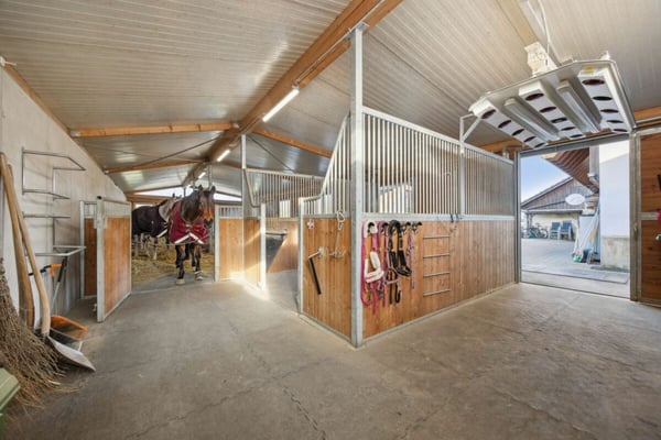 REITSPORTIMMOBILIE MIT ZWEI WOHNEINHEITEN UND DER MÖGLICHKEIT ZUR INDIVIDUELLEN PFERDEHALTUNG 2