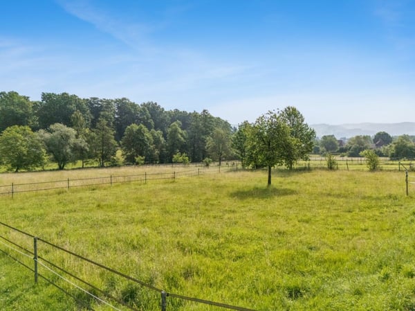 REITSPORTIMMOBILIE MIT ZWEI WOHNEINHEITEN UND DER MÖGLICHKEIT ZUR INDIVIDUELLEN PFERDEHALTUNG 6