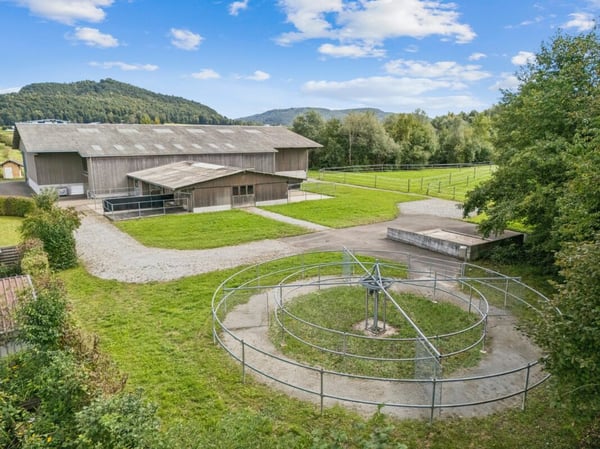 KOMPAKTE REITSPORTIMMOBILIE MIT WOHNHAUS, PFERDESTALL UND REITHALLE 31 MINUTEN VON ZÜRICH 4