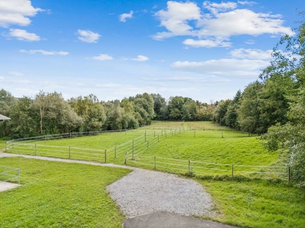 KOMPAKTE REITSPORTIMMOBILIE MIT WOHNHAUS, PFERDESTALL UND REITHALLE 31 MINUTEN VON ZÜRICH 3