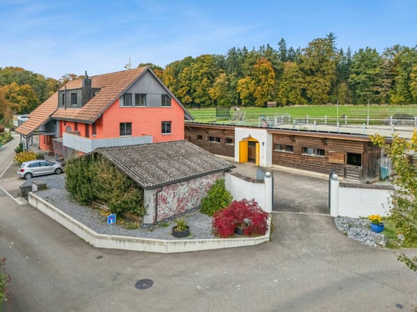 TRAUMHAFTE REITSPORTANLAGE MIT VERSCHIEDENEN BEWEGUNGSFLÄCHEN UND VIEL WEIDELAND IN DOTNACHT 13