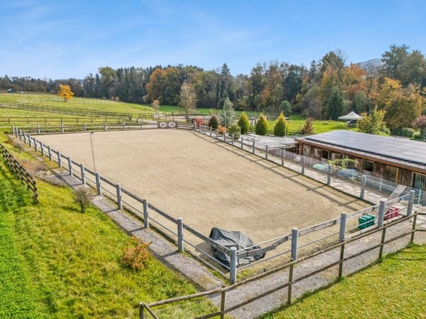TRAUMHAFTE REITSPORTANLAGE MIT VERSCHIEDENEN BEWEGUNGSFLÄCHEN UND VIEL WEIDELAND IN DOTNACHT 2