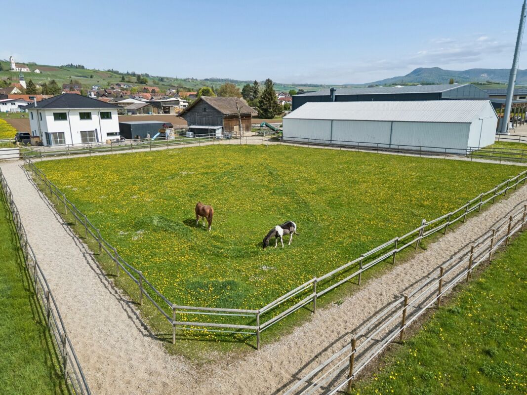 IHR EIGENES PFERDEPARADIES IM SONNIGEN KLETTGAU