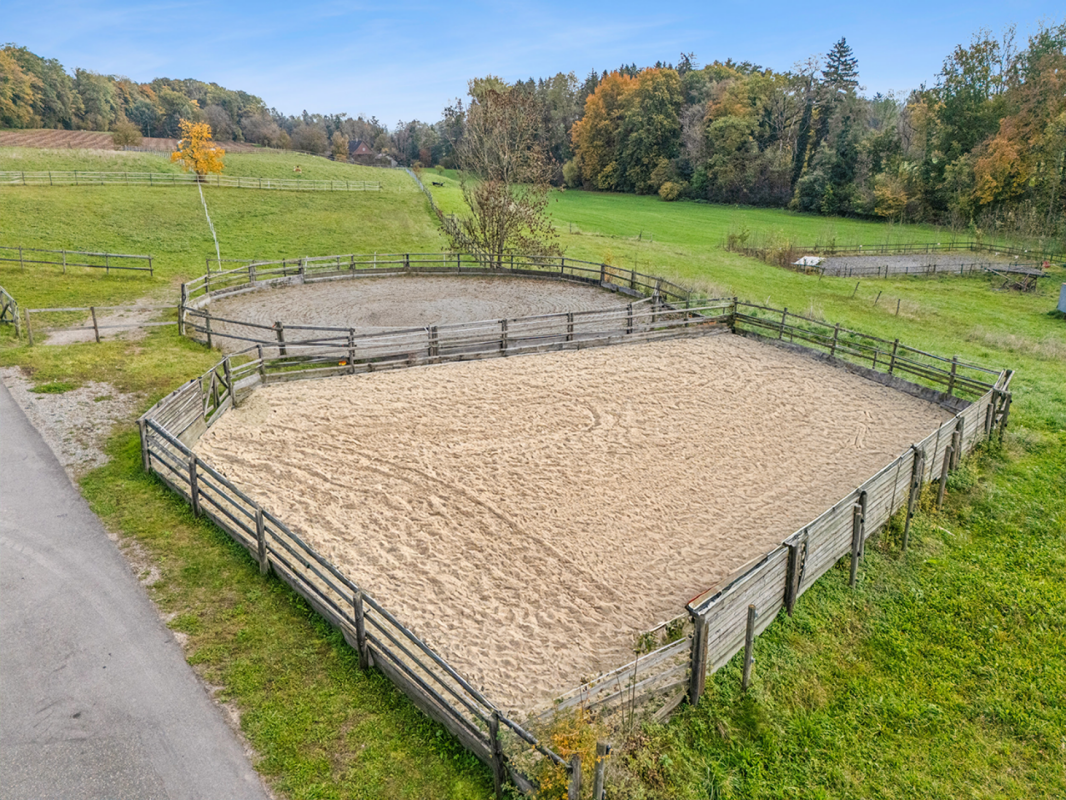 TRAUMHAFTE REITSPORTANLAGE MIT VERSCHIEDENEN BEWEGUNGSFLÄCHEN UND VIEL WEIDELAND IN DOTNACHT