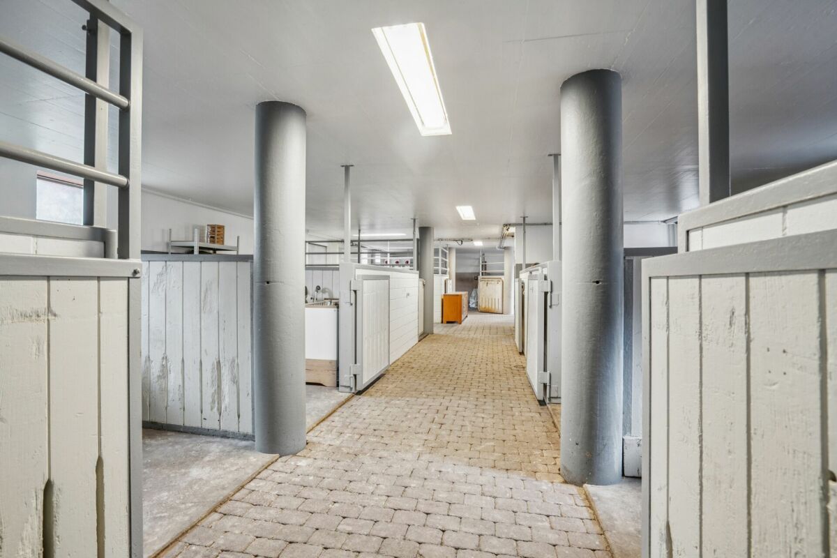 TRAUMHAFTE REITSPORTANLAGE MIT VERSCHIEDENEN BEWEGUNGSFLÄCHEN UND VIEL WEIDELAND IN DOTNACHT