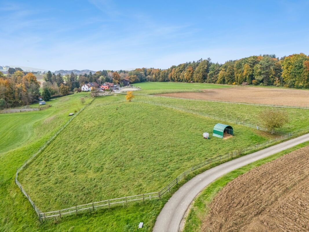 TRAUMHAFTE REITSPORTANLAGE MIT VERSCHIEDENEN BEWEGUNGSFLÄCHEN UND VIEL WEIDELAND IN DOTNACHT