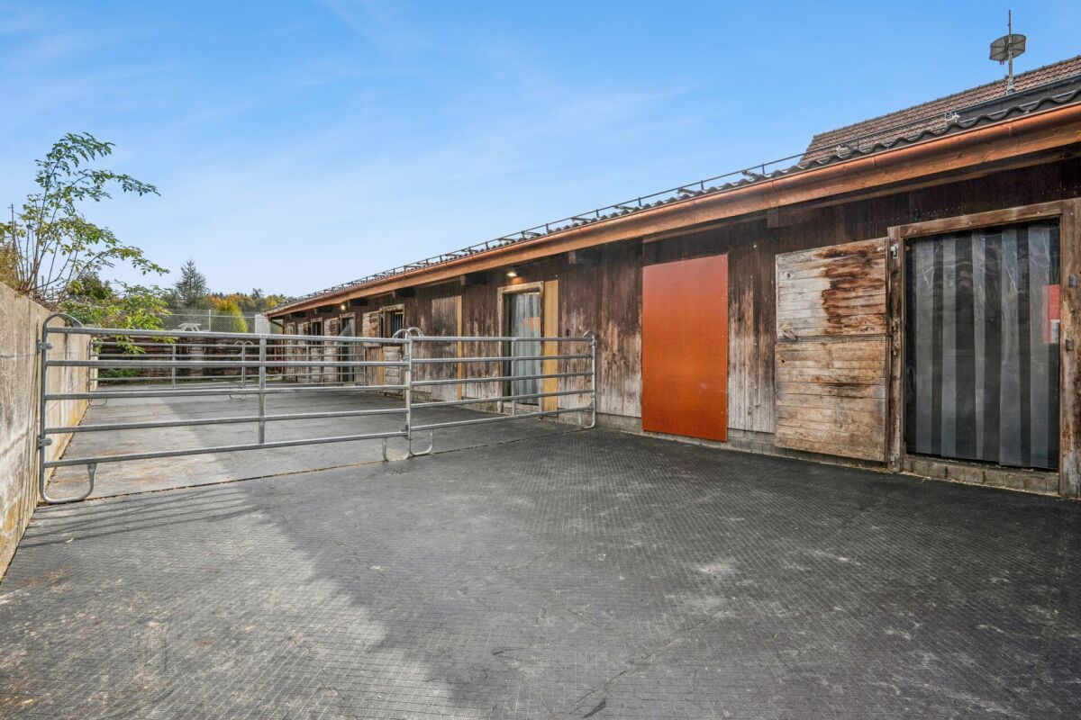 TRAUMHAFTE REITSPORTANLAGE MIT VERSCHIEDENEN BEWEGUNGSFLÄCHEN UND VIEL WEIDELAND IN DOTNACHT
