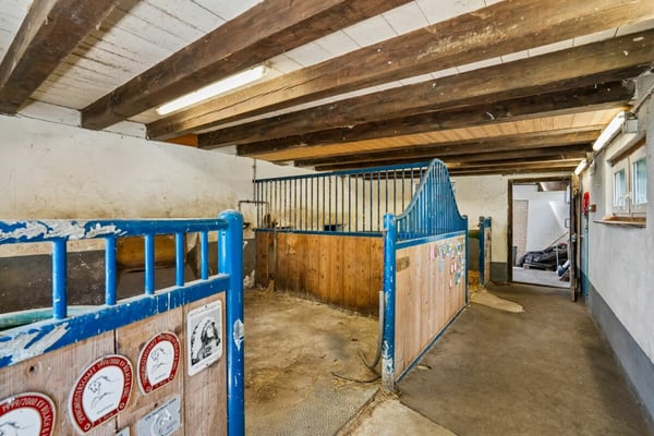 WO PFERDE, NATUR UND WEITSICHT EIN ZUHAUSE FINDEN 6
