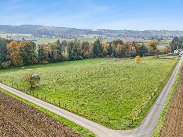 *NEUER PREIS* - FRISCH RENOVIERTES WOHNHAUS MIT REITPLATZ, ROUNDPEN UND GROSSEN WEIDEFLÄCHEN 9