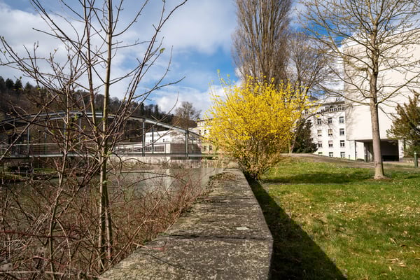 Helles Büro in lebendiger Startup Community in Winterthur 17