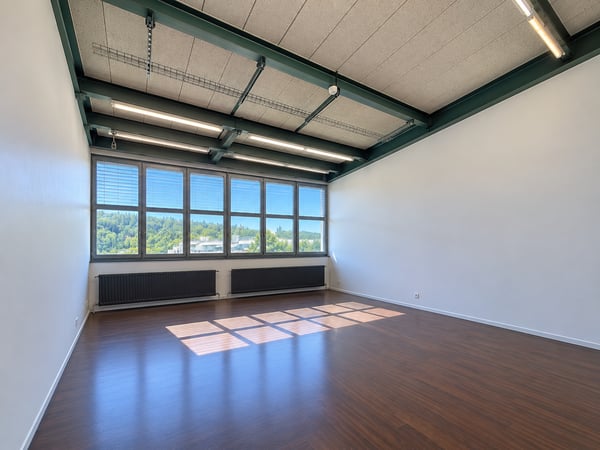 Grosszügiges Büro im EG in kreativer Fabrikhalle 1