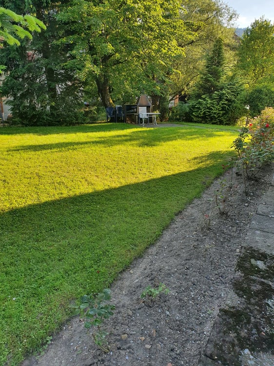 helle sonnige Wohnung mit Balkon (ohne Lift), Datum nach Vereinbarung 14